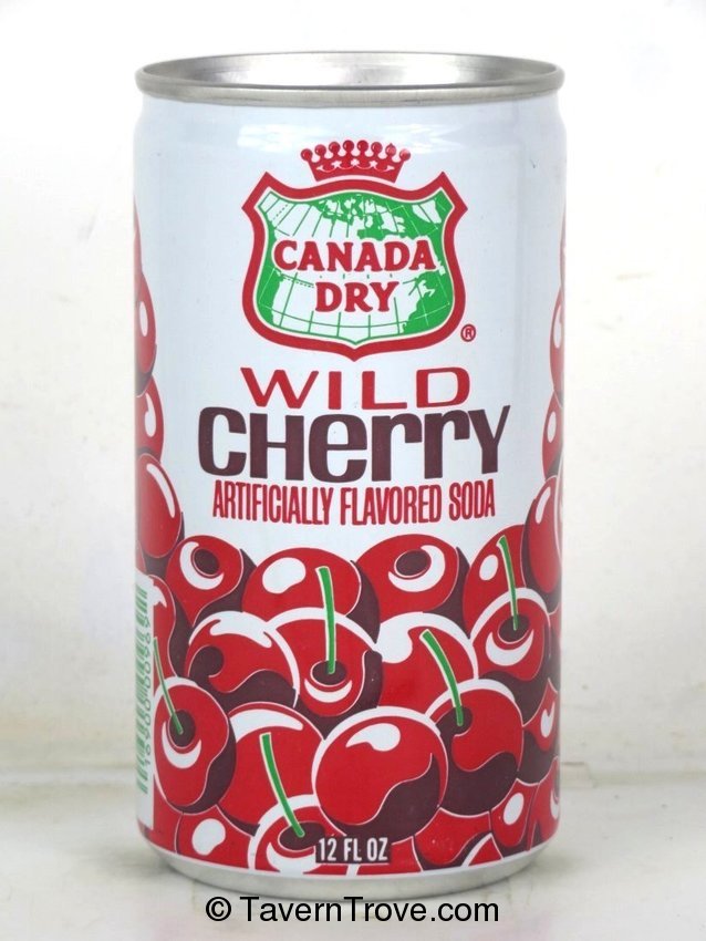 Canada Dry Wild Cherry 12oz Can Los Angeles