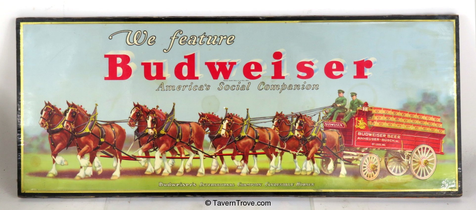 Budweiser Beer