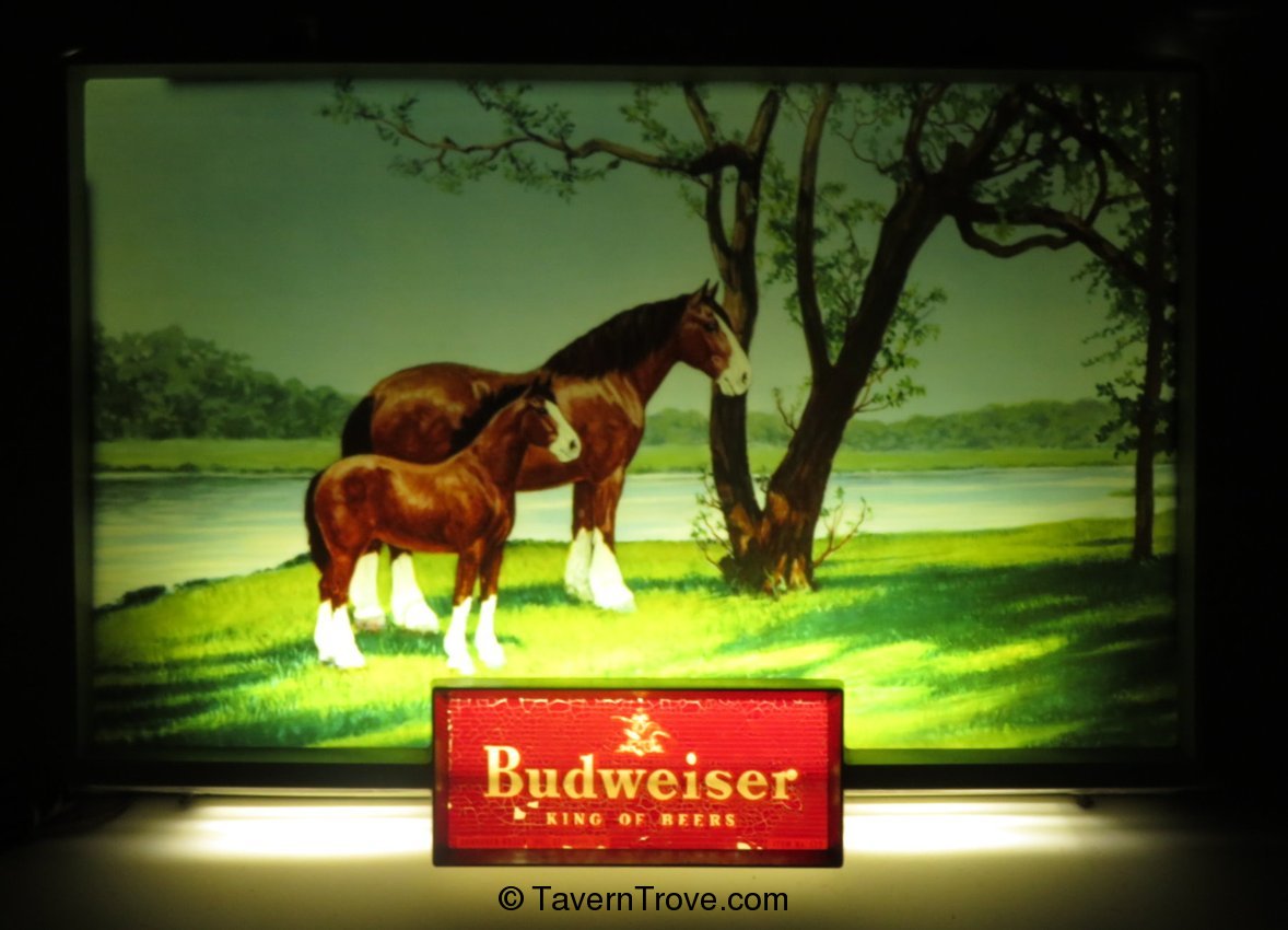 Budweiser Beer (Clydesdale and Foal)