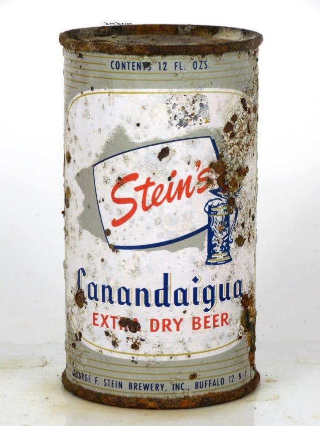 Stein's Canandaigua Beer