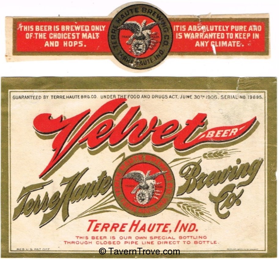 Velvet Beer